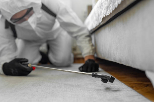 Professional Bed Bug Control technician working in Powers Lake, WI